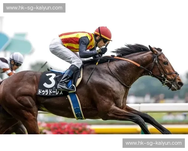 赛马伤病：从诊断到康复，让赛场精灵重返荣耀